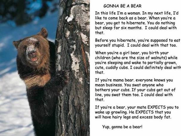 Be a Bear