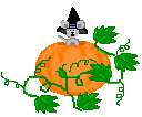 pilgrim mouse
